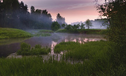 Summer morning ... / ___________