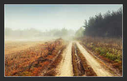 Misty road / ***