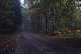 Autumn road / ***