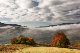 Autumn in the Carpathians. / ***