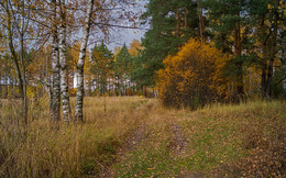 Autumn in Moscow / ***