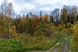 colors of autumn / ***