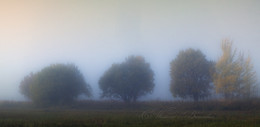 Misty dance / ***