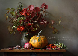 Autumn palette / ***