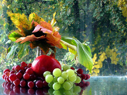 Gifts of Autumn / ***