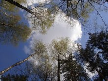 Look up / ***
