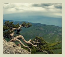 On the slopes of the Crimean mountains ... / ***