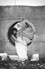 Quadrature of the circle / *****