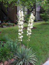 in the summer - the heat / ***