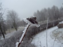 frozen life / ---