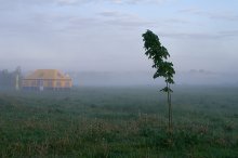 /&amp;&amp;| / ********