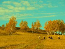 "Hold on a hillside" / ***