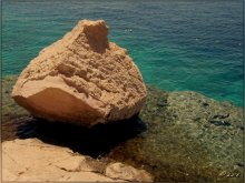 Beauty of the Red Sea. / ***