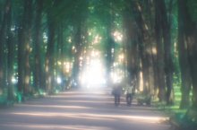 in the garden ... / ***