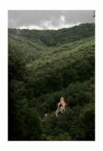 Transcarpathian Buddhists) / ***