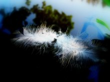 Nezyblimo and gently .... / ***