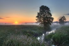 Morning sun and fog / ****************
