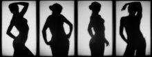 Light &amp; Shadow / ***