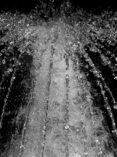a source of pleasure / ...