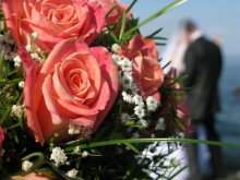 as long as you do not look at us / ***