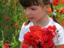 fevochka and poppies / ***