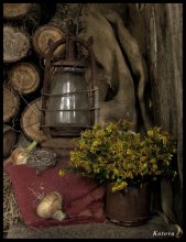 In my grandmother's barn / ***