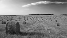 Battle of the harvest / .....