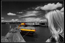 &quot;Beauty and the Beast&quot; / ***