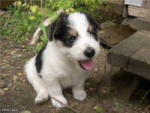 Progulka_Uh, I am tired!. Jpg / ***