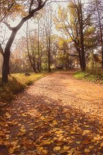 Autumn path ... / ***