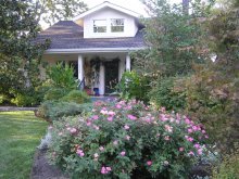 Polisadnik small / ***