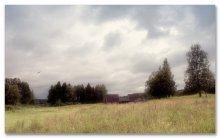 in anticipation of volleyball ... / ***