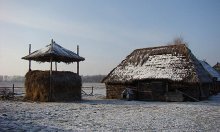 Farm / ***