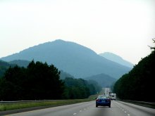 Way to the top / ***