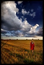 Regret of a wheaten field / ***