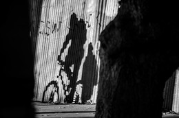 A game of shadows / ***