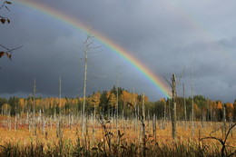 Pashkevich68 / Pashkevich68