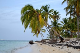 Dominican Republic / ***