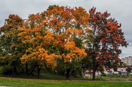 Autumn sketches / ***