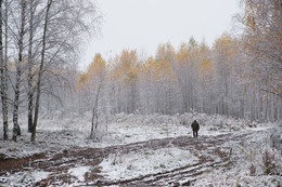 First snow / ***