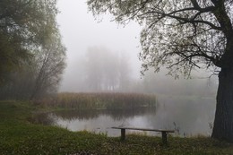 Autumn calm / ***