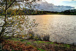 Autumn evening / ***
