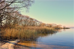 frosty morning / ***