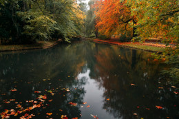 Autumn / ***