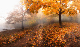 The road to autumn / ***