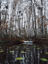 At the lake in the woods / ***