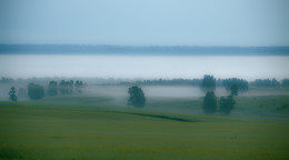 Foggy morning / ***