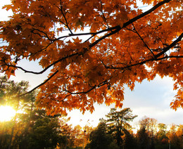 Autumn evening / ***