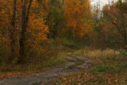 Autumn trail / ***