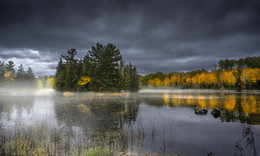 Transparent Autumn / Transparent Autumn